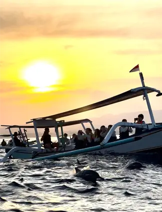 Sunrise Dolphin Lovina Bali